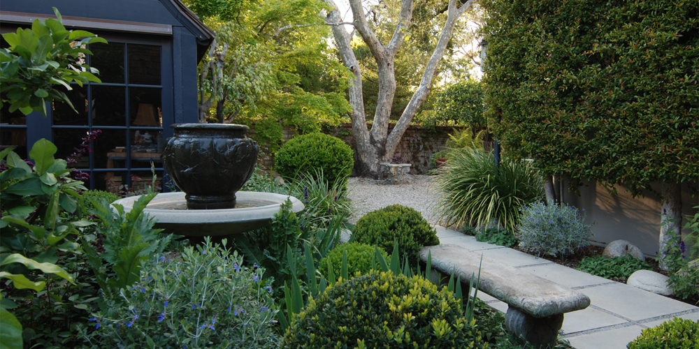 Garden design with water fountain and pollarded sycamore.