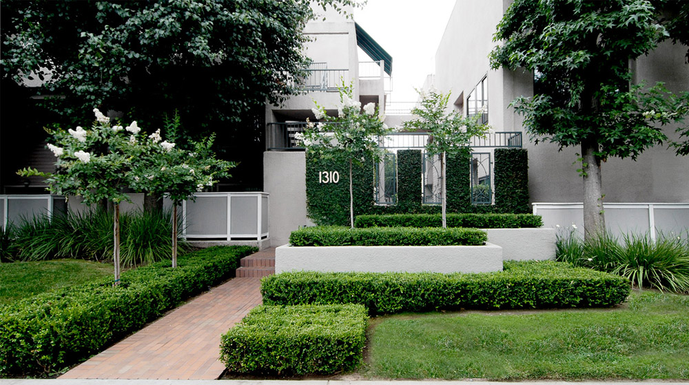 Front entry garden design with boxwood and crape myrtles.